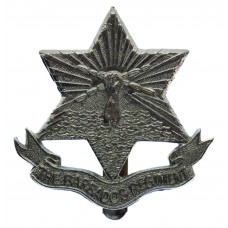 Barbados Regiment Chrome Cap Badge