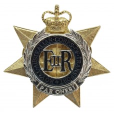 Royal Australian Corps of Transport Anodised (Staybrite) Cap Badge
