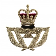 Royal Air Force (R.A.F.) Warrant Officer's Anodised (Staybrite) Beret Badge