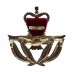 Royal Air Force (R.A.F.) Warrant Officer's Anodised (Staybrite) Beret Badge