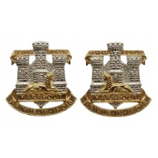 Pair of Devonshire & Dorset Regiment Anodised (Staybrite) Collar Badges