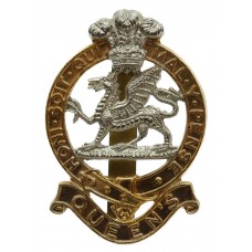 Queen's Royal Regiment Anodised (Staybrite) Cap Badge