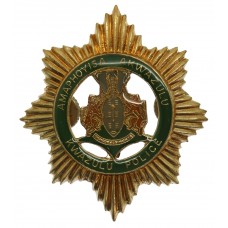 South Africa Kwazulu Police Officer's Enamelled Cap Badge