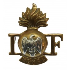 Royal Irish Fusiliers Bi-metal Shoulder Title
