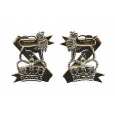 Pair of Light Dragoons Anodised (Staybrite) Collar Badges