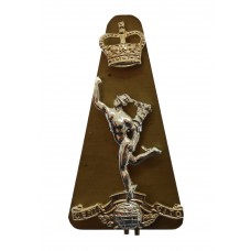 Royal Corps of Signals Anodised (Staybrite) Cap Badge 