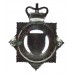 Thames Valley Police Enamelled Cap Badge - Queen's Crown