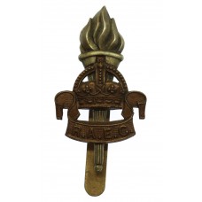 Royal Army Educational Corps (R.A.E.C.) Cap Badge - King's Crown 