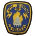 United States City of Lansing Police Cloth Patch Badge