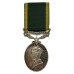 George VI Territorial Efficiency Medal - Dvr. A.S. Mason, Royal Army Service Corps