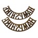 Pair of Hampshire Regiment (HAMPSHIRE) Shoulder Titles