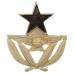 Ghana Air Force Anodised (Staybrite) Cap Badge