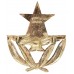 Ghana Air Force Anodised (Staybrite) Cap Badge