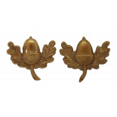 Pair of Cheshire Regiment Collar Badges