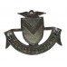 Newport Borough Police Collar Badge