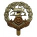 Hampshire Regiment Cap Badge