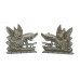 Pair of Argyllshire Constabulary Collar Badges