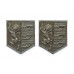 Pair of Ipswich Borough Police Collar Badges