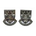 Pair of Derbyshire Constabulary Collar Badges