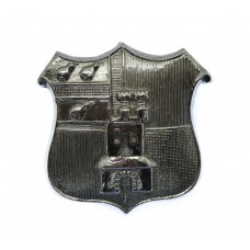 Worcester City Police Collar Badge