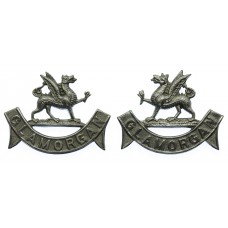 Pair of Glamorgan Constabulary Collar Badges