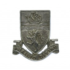 Devon Constabulary Collar Badge