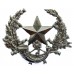 Cameronians (Scottish Rifles) Anodised (Staybrite) Cap Badge