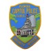 United States Florida Capital Police D.M.S. Security Officer Cloth Patch Badge