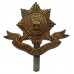 Worcestershire Regiment Cap Badge