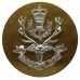 Queen's Own Highlanders Anodised (Staybrite) Cap Badge