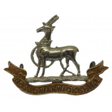 Victorian/Edwardian Royal Warwickshire Regiment Cap Badge