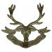 Seaforth Highlanders Cap Badge