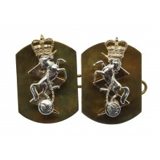 Pair of Royal Electrical & Mechanical Engineers (R.E.M.E.) Anodised (Staybrite) Collar Badges