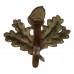 South Nottinghamshire Hussars Brass Cap Badge (F.E. Woodward)