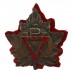 Canadian YMCA (Young Men's Christian Association) Military Enamelled Cap Badge