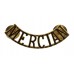 Mercian Regiment (MERCIAN) Shoulder Title