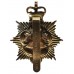 Gloucestershire & Hampshire Regiment Anodised (Staybrite) Cap Badge