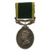 George VI Territorial Efficiency Medal - Pte. J.W. Wood, Welch Regiment