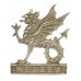 Wessex Brigade Officer's Silvered Cap Badge