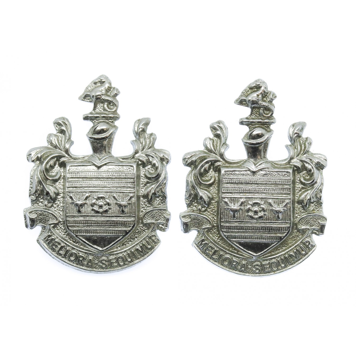 Pair of Eastbourne Borough Police Collar Badges