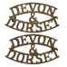 Pair of Devonshire & Dorset Regiment (DEVON/&/DORSET) Shoulder Titles