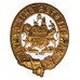 Manchester Ship Canal Police Enamelled Cap Badge