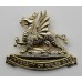 University of Wales O.T.C. Anodised (Staybrite) Cap Badge