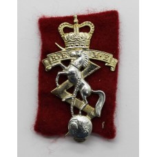 Rare Royal Electrical & Mechanical Engineers (R.E.M.E.) One Piece Anodised (Staybrite) Cap Badge 