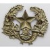 Cameronians (Scottish Rifles) Cap Badge