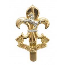 The King's Regiment Anodised (Staybrite) Beret Badge