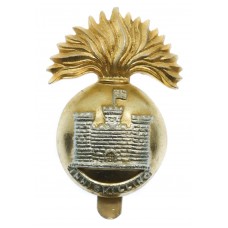 Royal Inniskilling Fusiliers Anodised (Staybrite) Cap Badge