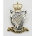 Royal Irish Rangers Anodised (Staybrite) Cap Badge