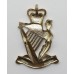 Royal Irish Rangers Anodised (Staybrite) Cap Badge