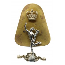 Royal Corps of Signals Anodised (Staybrite) Cap Badge